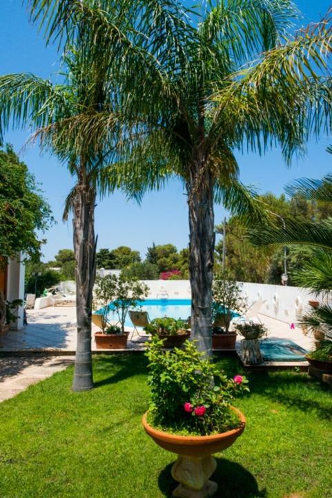 Villa Cancelliere San Vito Lo Capo Zewnętrze zdjęcie