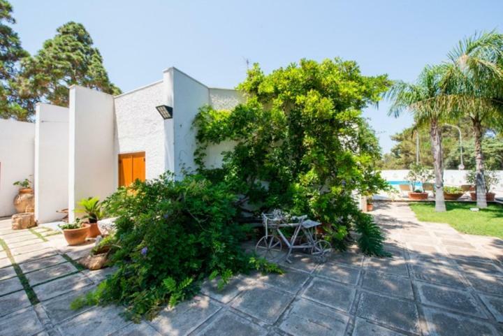 Villa Cancelliere San Vito Lo Capo Zewnętrze zdjęcie